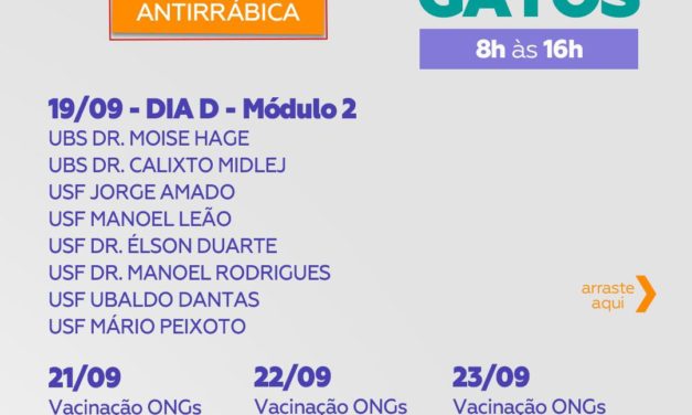 Amanhã tem mais um Dia “D” de vacina contra raiva em cães e gatos