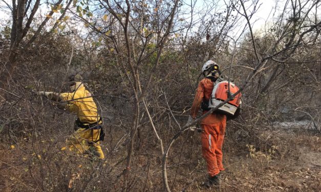 ”Estamos usando todo material humano disponível e equipamentos para debelar o fogo”, diz Rui sobre incêndio na Chapada