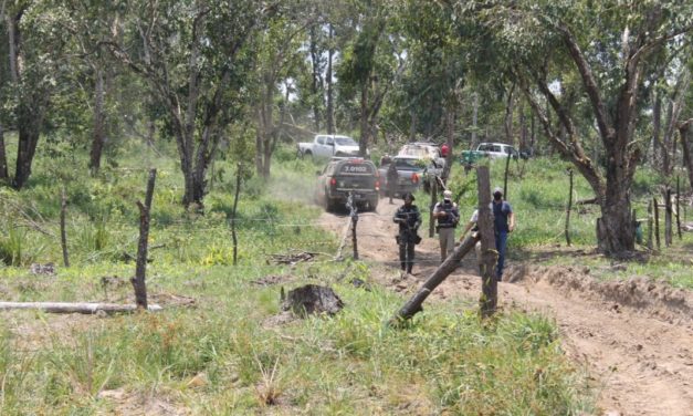 Força tarefa combate invasão em anel florestal no Polo de Camaçari