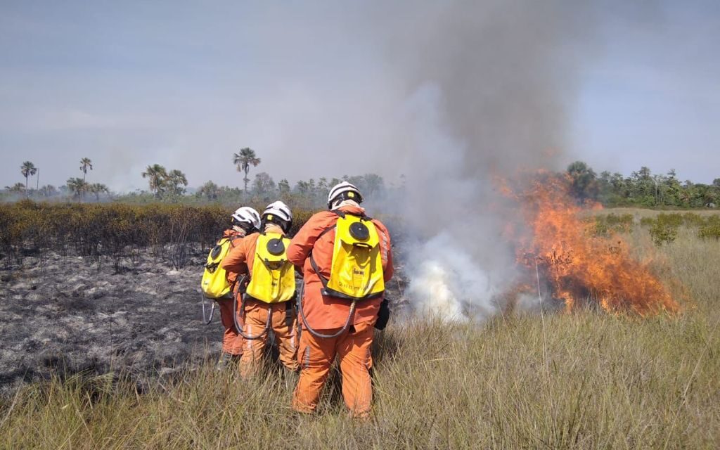 Aeronaves do Governo do Estado reforçam combate aos incêndios florestais na Bahia