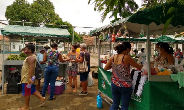 Empoderamento feminino: mulheres associadas iniciam feira da agricultura familiar em Valença