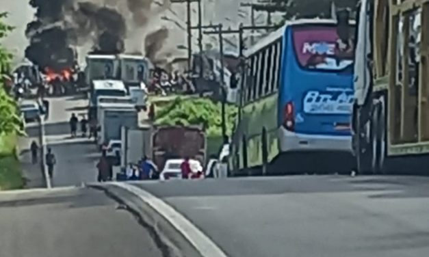 Moradores da Rua de Palha protestam mais uma vez em busca do Auxílio Recomeço e Aluguel Social