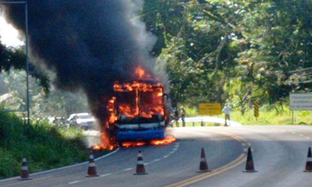 Ônibus pega fogo na BR 415