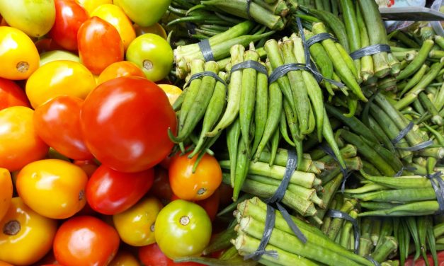 Merenda escolar da Rede Municipal de Itabuna terá produtores da Agricultura Familiar como fornecedores