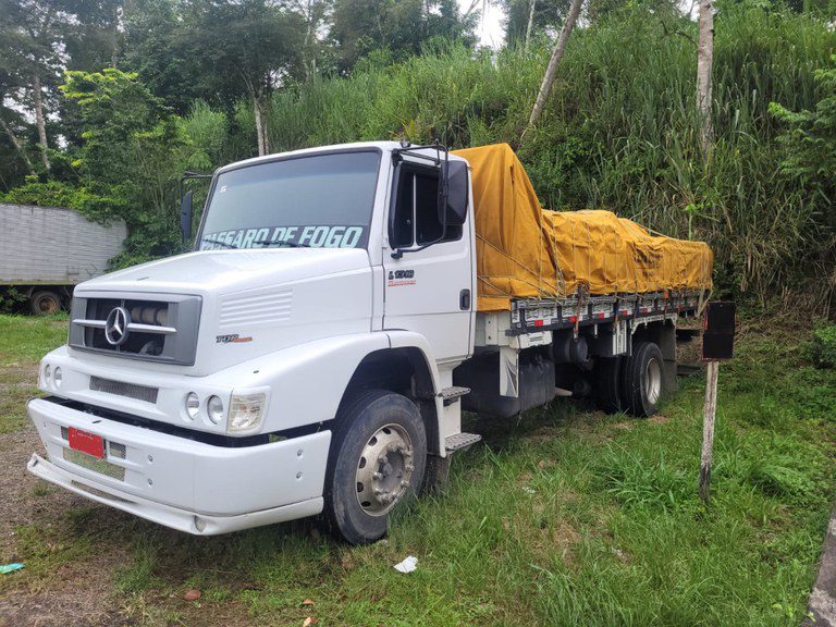 Gandu: Madeira que era transportada ilegalmente é apreendida pela PRF na BR-101