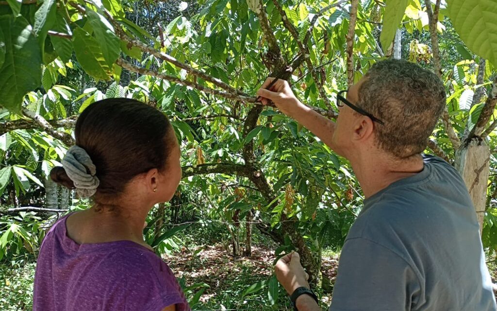 Itabuna: prefeitura capacita agricultores familiares na técnica da polinização