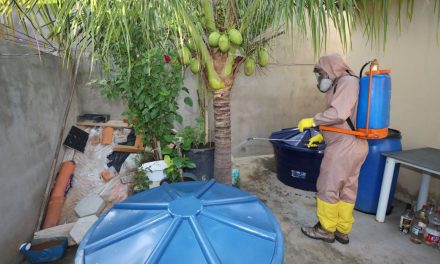 Cenário da Dengue na Bahia tem tendência de queda