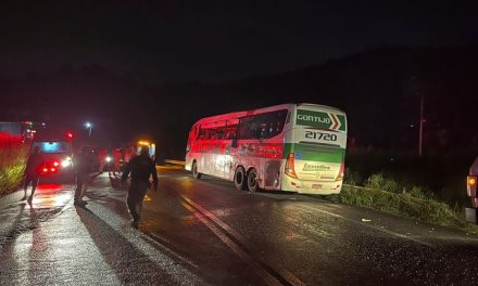 Acidente entre ônibus e carreta deixa quatro mortos na BR-101