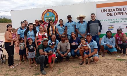 Agroindústria em Abaré e Curaçá impulsiona a fruticultura no Território Itaparica