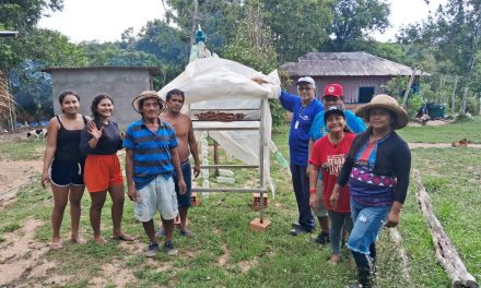 Embrapa reproduz no Amazonas patente concedida para a Uesc