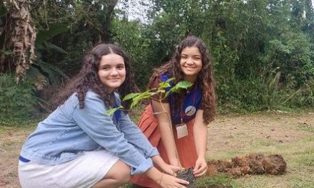 CVR Costa do Cacau disponibiliza mudas frutíferas e espécies da mata atlântica para a comunidade