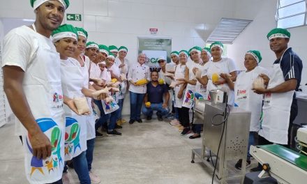 Capacitações qualificam o trabalho de organizações produtivas da agricultura familiar da Bahia