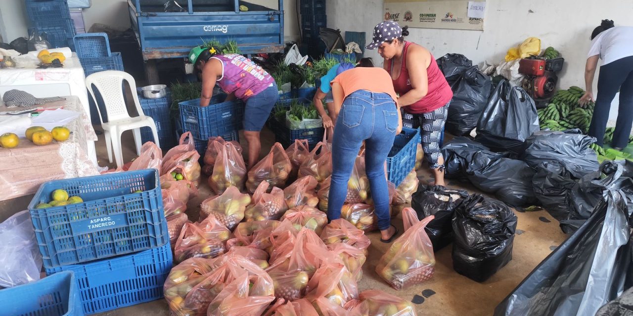 Mulheres agricultoras de Presidente Tancredo Neves ampliam renda com venda para PAA e PNAE