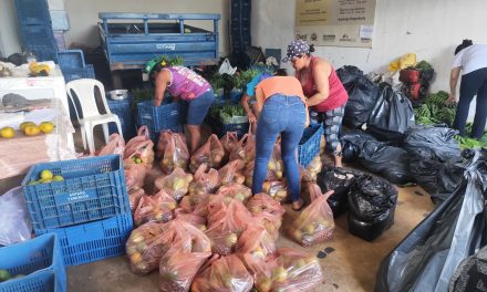 Mulheres agricultoras de Presidente Tancredo Neves ampliam renda com venda para PAA e PNAE