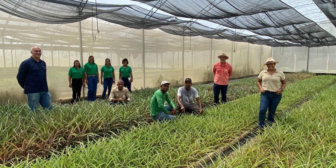 Biofábrica da Bahia leva equipe a Lençóis para imersão técnica a convite da Embrapa