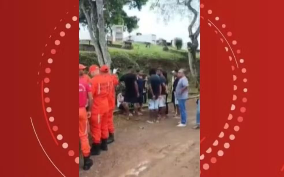 Pessoas são atacadas por abelhas durante enterro em cemitério de Ilhéus