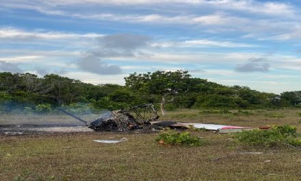 Uma pessoa morre e outra fica ferida após queda de avião em Prado, na Bahia