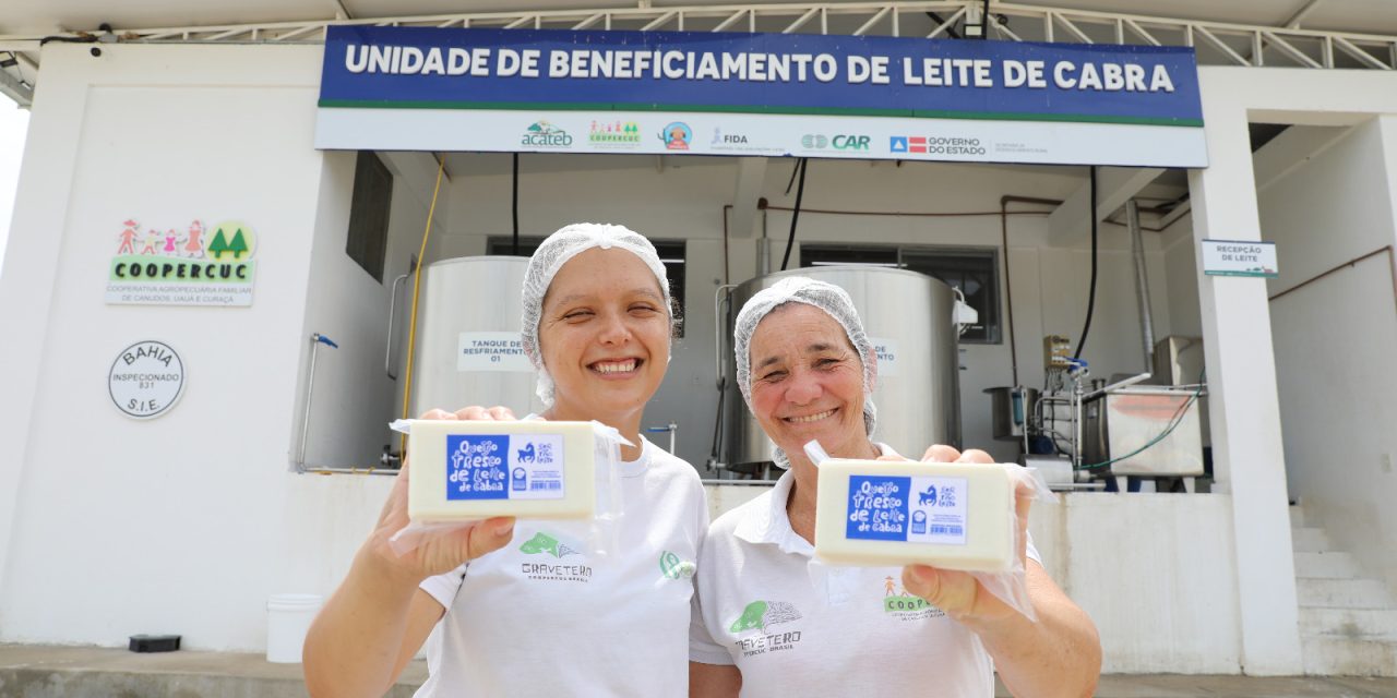 Feira de Santana recebe MOVE, o maior encontro de agroindústrias familiares da Bahia