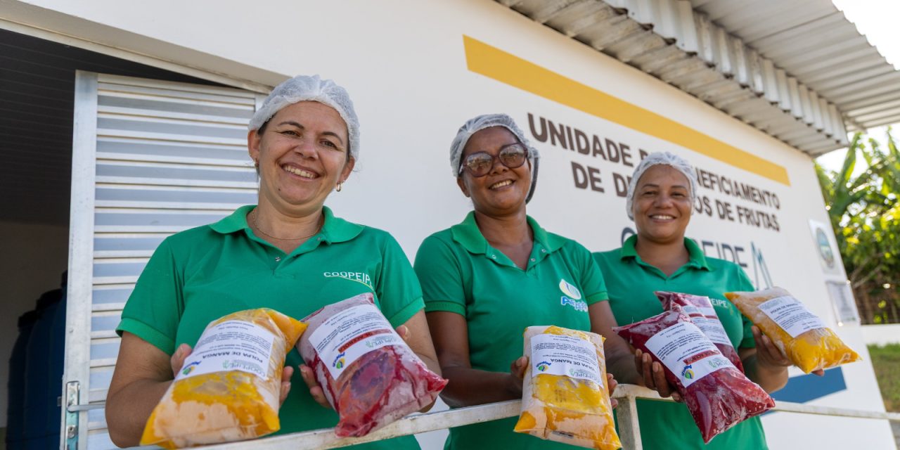 Mulheres rurais do Vale do Jiquiriçá conquistam autonomia e ampliam produção de polpas de frutas com agroindústria familiar